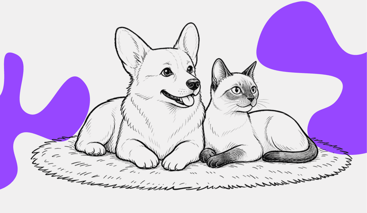 Корги и кот лежат на ковре
