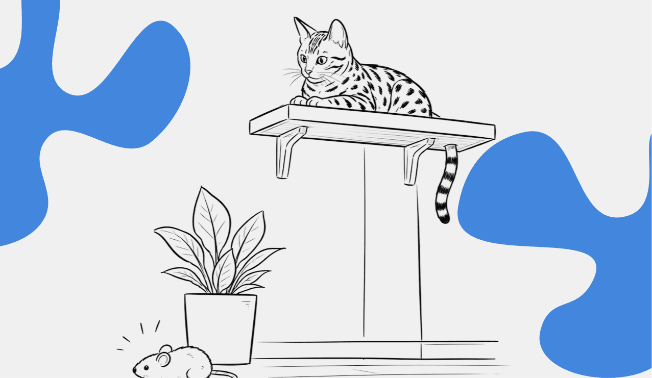Кот на полке