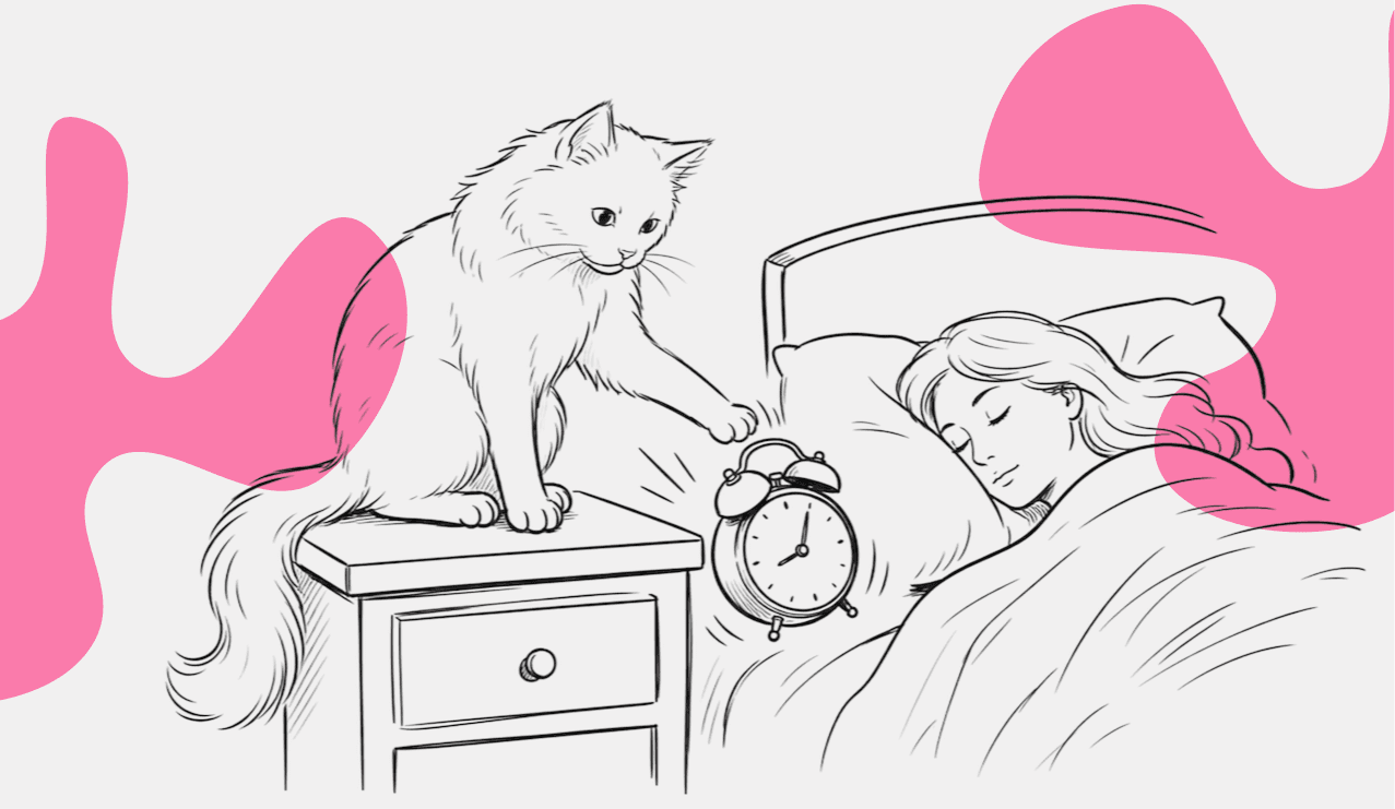 Кошка включает будильник